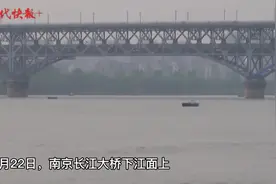 太萌啦！南京长江大桥下江豚上演“冲浪比赛”图片