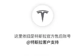 红色变灰色 特斯拉换新Logo 曾有多家公司抢注商标图片