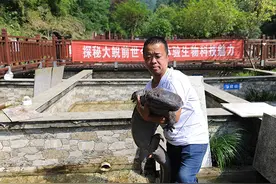湖北省十堰市茅箭区：“两山”理念引领乡村振兴图片