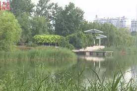 视频｜巨野公园惊现“大蜥蜴”，居民直呼萌萌的图片
