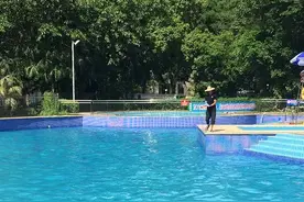 想清爽一“夏”？教你游泳遭遇“氯伤害”怎么躲开！图片