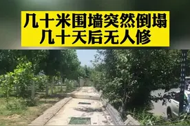 几十米围墙突然倒塌 几十天后仍无人修视频封面