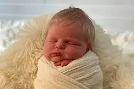 3月大英国宝宝一出生就满头炸毛金发，迷你鲍里斯就是你啊图片