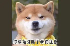 她折磨过孙俪、欺负过蒋欣，究竟哪来的底气？图片