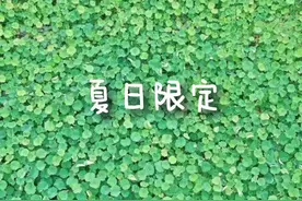 太美啦！静安这个公园藏了一份夏日限定美景→图片