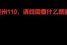 路上遇见狮子报警求助，冲上热搜！网友评论笑喷图片