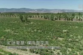 矿区复垦 煤海变花海视频封面