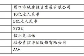周口城投拟发行5亿元超短融，偿还有息债务及补充流动资金图片