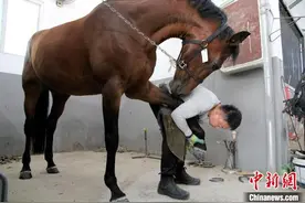 山东钉蹄师为全运会“战马”做“跑鞋”致力壮大中国钉蹄师队伍图片