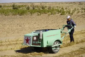 回访最大沙尘暴受害地 解析河西走廊28年绿进沙退背后的5个样本②图片