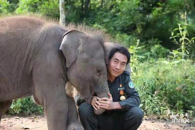 COP15春城之邀丨追象的人：给象宝宝打针像哄小孩，为追踪野象连续三天只睡3小时