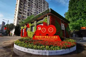 长宁街头更加靓丽，行人纷纷拍照留影！图片