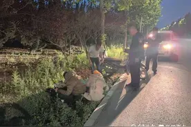 夫妻俩遇车祸丈夫昏迷妻子受伤爬行求助，三名城管队员果断伸援手图片