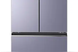 海尔家宴冰箱BCD-460WGHFD14NZU1体验图片