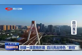 四川新闻联播丨创建一流营商环境 四川亮出特色“新招”图片