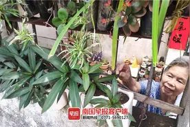 南宁一老人用饮料瓶种植上百盆花！摆在路边围栏上，吸引不少路人驻足图片