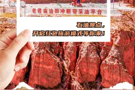 长图 | 红色旅游，这些“石油圣地”考虑一下图片