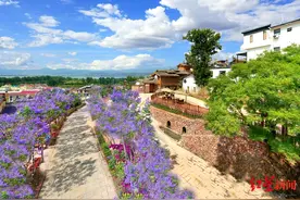 一座600年古村落新生记：风景入股，村民有收入 232家民宿客栈成网红村图片