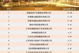 2021年1-5月京南房企&项目排行榜图片