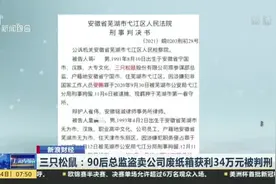三只松鼠：90后总监盗卖公司废纸箱获利34万元被判刑视频封面