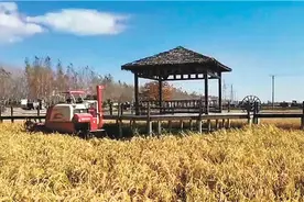 “土地确权”确到农民心坎上图片