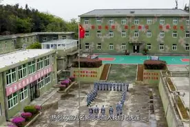 老虎连•新虎气图片