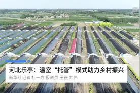 河北乐亭：温室“托管”模式助力乡村振兴视频封面