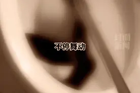 恐怖！家中马桶突然钻出一条大长蛇！现场尖叫连连图片