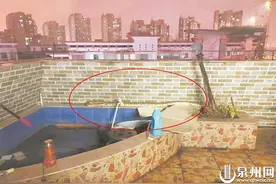 3米长蟒蛇现身9楼阳台图片