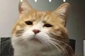 最新！2021山西高考“一分一段表”发布！填志愿别搞错！这些专业只是看上去相似……图片