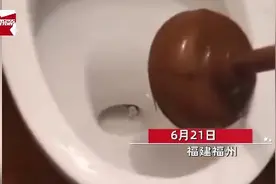 最害怕的事情发生了！福州一居民半夜上厕所，一条大黑蛇从马桶里探出头图片