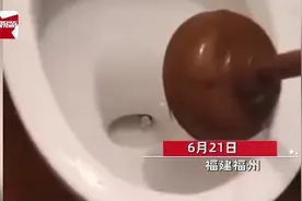 最害怕的事情发生了！福州一居民半夜上厕所，一条大黑蛇从马桶里探出头图片