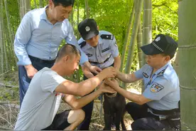 竹林里困着一头幼年“四不像”泾县警民联手救助国保动物图片