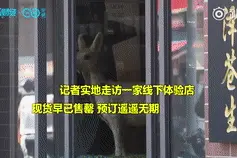 一粒药近千元，10分钟被抢光！是奇货可居还是炒作使然？图片