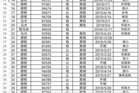 54只半天抢光！考警校“落榜”的狗子值多少钱？惊呆图片