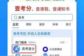 河南考生 25日起可在支付宝搜“豫事办”查询高考成绩图片