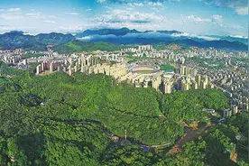 心系山林，绿意纵横千万里！永安国有林场全面做好改革与发展工作图片