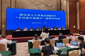 湖北省人大常委会2021年“乡村振兴荆楚行”启动图片