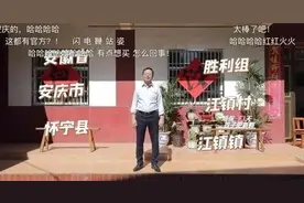 品牌相对论丨土味，品牌的流量密码？图片