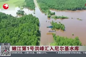 嫩江第1号洪峰汇入尼尔基水库视频封面