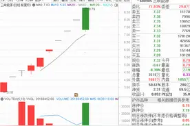 光伏板块嗨了，社保基金、QFII坚守的一细分龙头涨停！6月来硫酸钾价格大涨，这只A股参股硫酸钾巨头图片