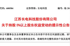 国家大基金减持变现近2亿！经营业绩喜人，这只芯片龙头股仍面临减持压力图片