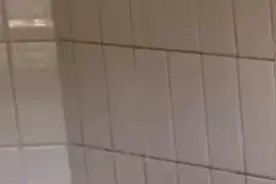 上海试点“一证一照”：武康路新增“最具信息量”相框视频封面