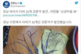韩国渔民捕获32条腿"异形章鱼"，日本：我们有96条腿的图片