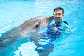 沈阳：海豚驯养师的海豚“情缘”图片