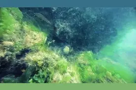 穿戴50斤装备海底捞参……岛城“猛子”辛苦并快乐着图片