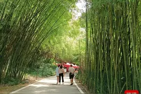 清凉一夏每日一瓜 最新河南吃瓜地图出炉 你吃的是哪儿的瓜？图片