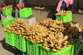 建设银行善融商务发力乡村电商图片