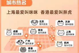 今天起，上支付宝可为宠物建电子“身份证”图片