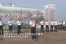 益阳新地标！青龙洲大桥今天正式建成通车图片